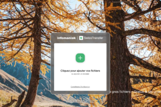 SwissTransfer